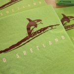shetland-orca